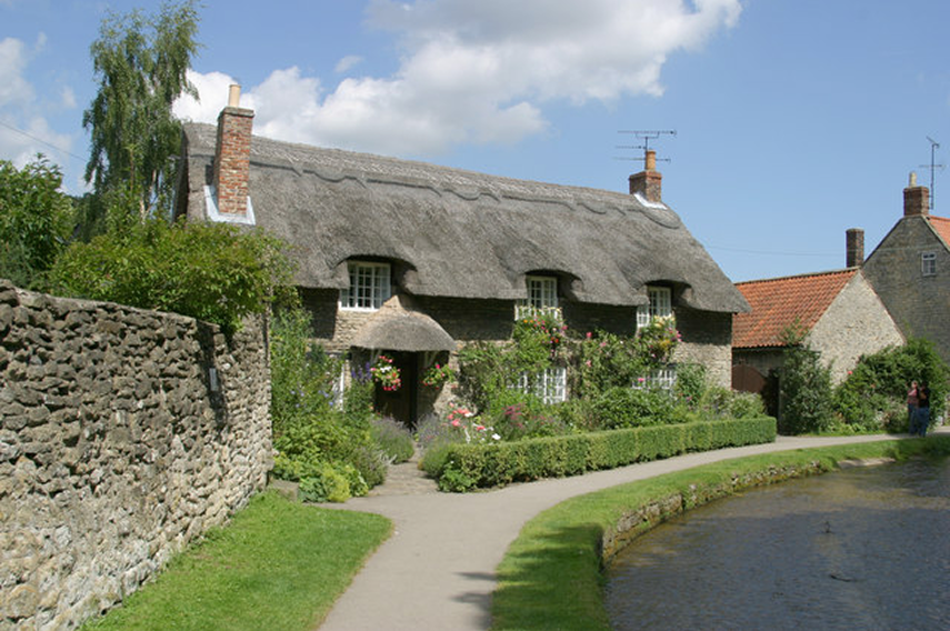 image 46
